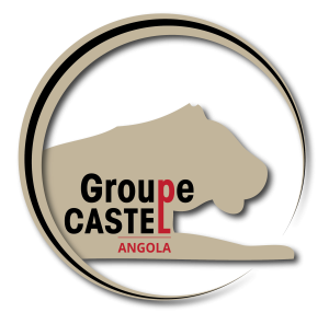 Logo-G-Castel_Angola-01